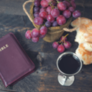 Communion Service with Roger