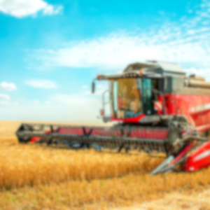 Harvest All Age Service Followed By Meal